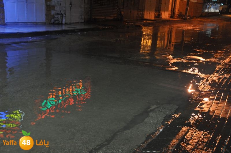 rain lud 1212 (17).JPG